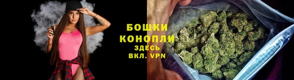 ПСИЛОЦИБИНОВЫЕ ГРИБЫ Баксан
