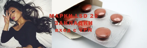 стафф Аркадак