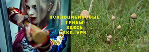 стафф Аркадак